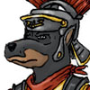 Chien centurion